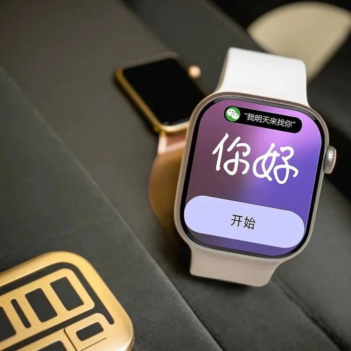 TS10 Smart Watch NFC Dual Payment GPS Fitness Watch 2.01