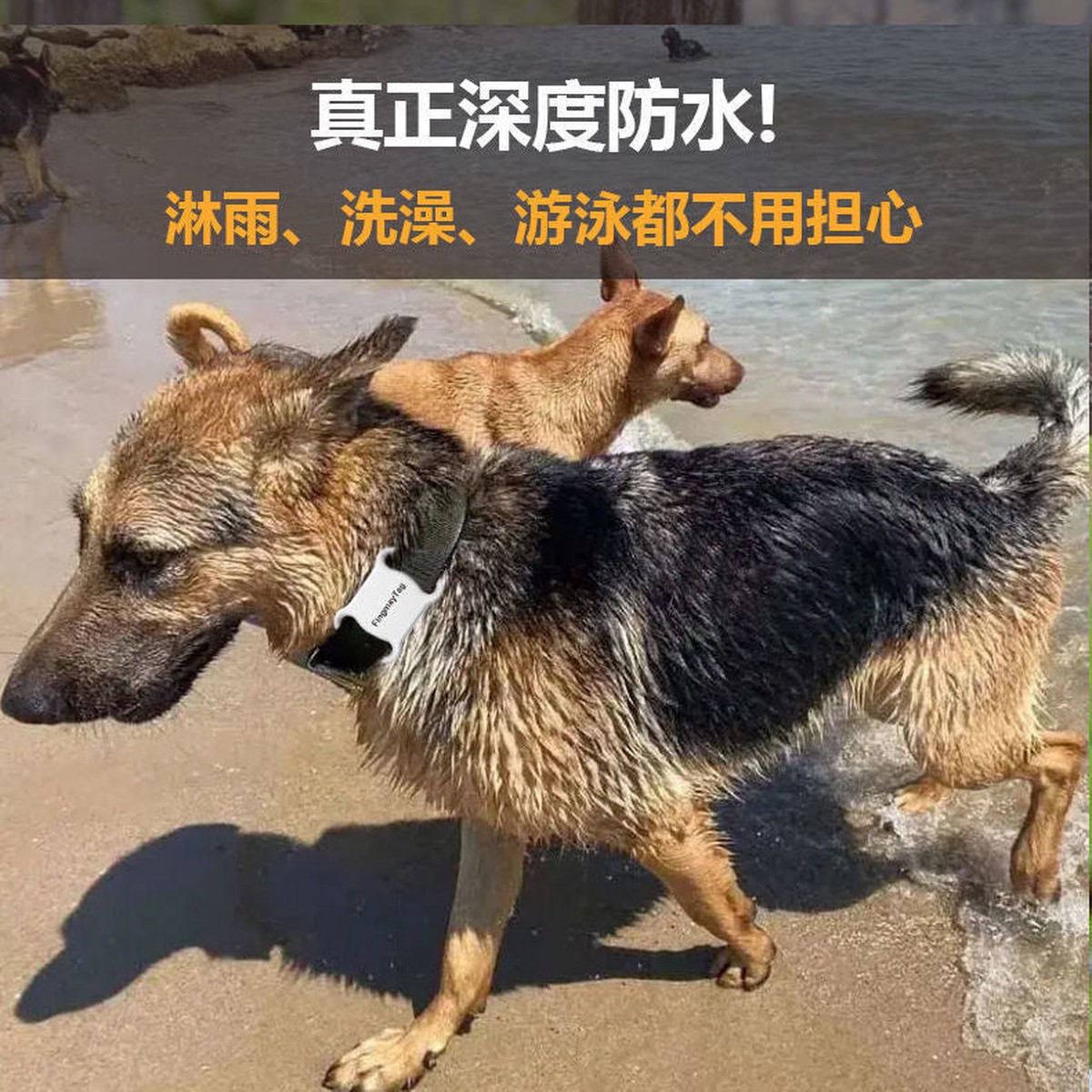 STOCK-Smart Dog Tracker Collar Anti-Lost GPS Locator